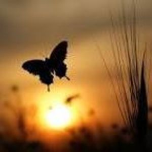 Meet your Posher, Ruth